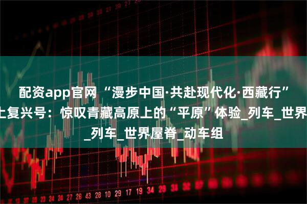 配资app官网 “漫步中国·共赴现代化·西藏行”外媒记者登上复兴号：惊叹青藏高原上的“平原”体验_列车_世界屋脊_动车组